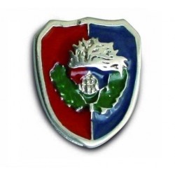 Distintivo Scudetto ANC 2010