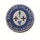 Distintivo Regionale Protezione Civile ANC