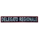 Distintivo Delegato Regionale
